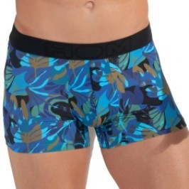 Boxer HOM Java