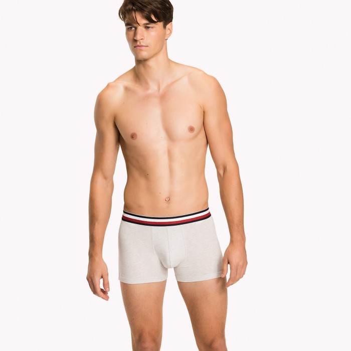  Trunk Modern Stripe gris - TOMMY HILFIGER UM0UM00533-061 