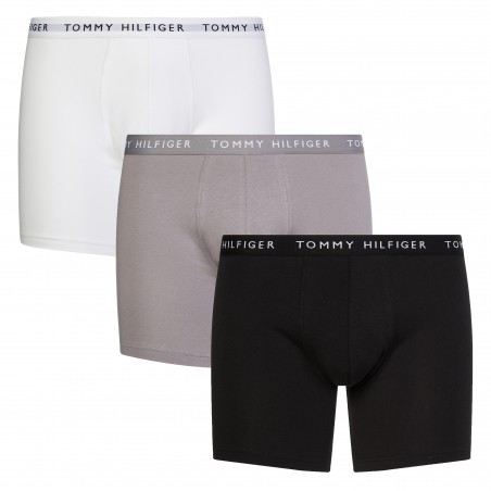 Tommy Hilfiger Underwear Boxer shorts 'Essential' in Grey, Burgundy, Black